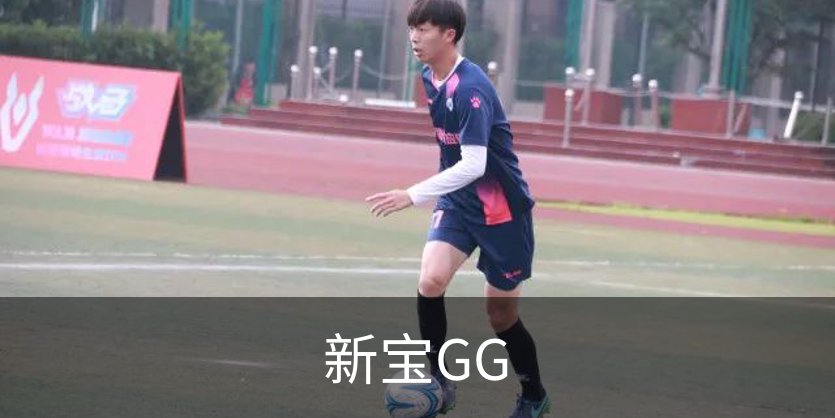 了解新宝GG